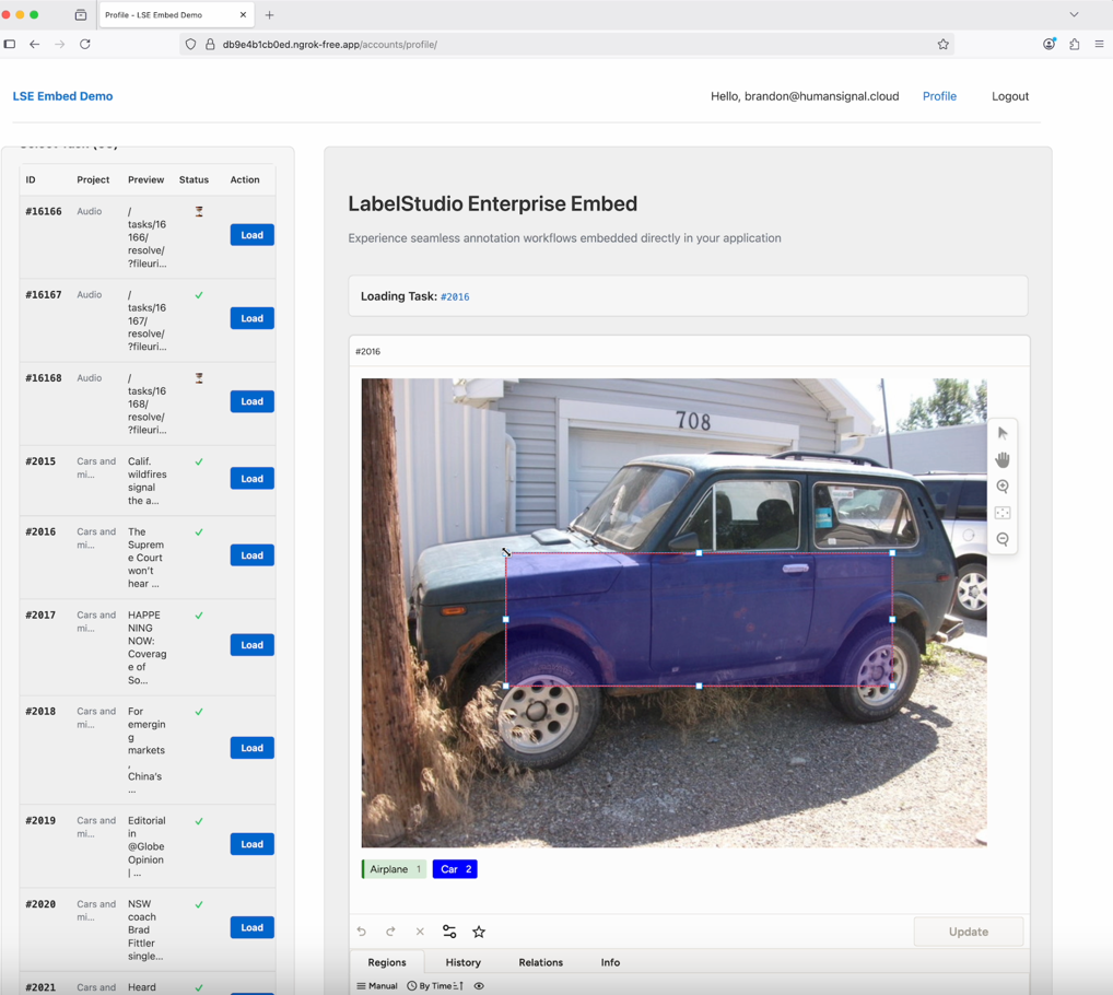 Screenshot of an embed demo